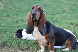 20220918014054_IMG_3944