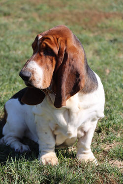 20231101193826_IMG_2552