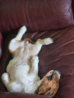 20250212_141712_resized