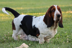 20220727032610_IMG_3775