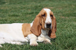 20230401204755_IMG_1346