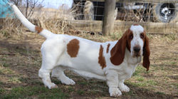 20220319201752_IMG_2880