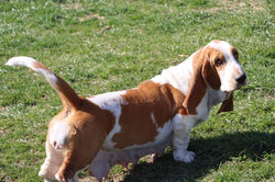 20220411002127_IMG_9483