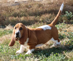 20211106215930_IMG_1604