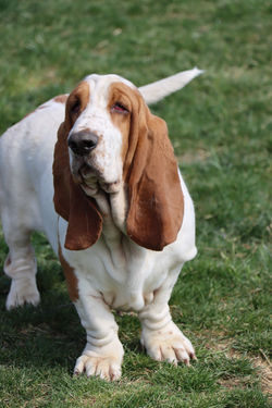 20240320233600_IMG_4347