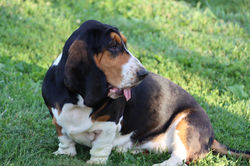 20220626030559_IMG_5853