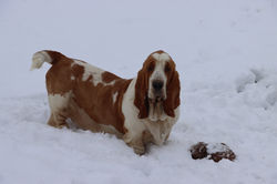 20230121184555_IMG_7625