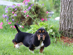 20210807183559_IMG_9671