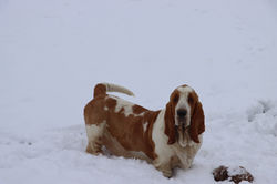 20230121184554_IMG_7623