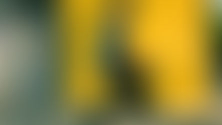 La bici que entra en una mochila