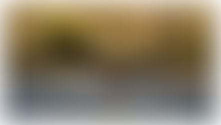 East London Festival of Nature 25 June - 5 July