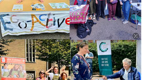 Sustainability Day on Sunday 20 July