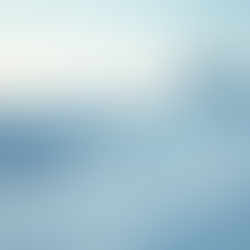 Top 10 Arctic Survival Tips for Extreme Conditions