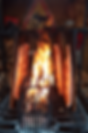 Flammlachs1