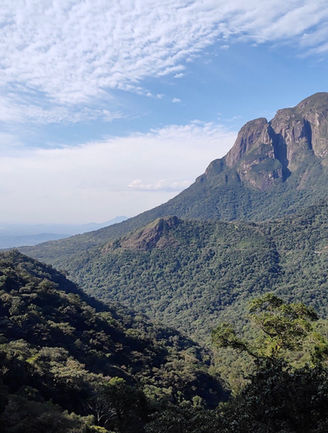 Serra do Mar