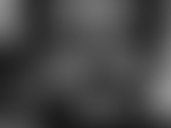 RDC-Belgique : Une page historique prête à se tourner pour la famille de LUMUMBA