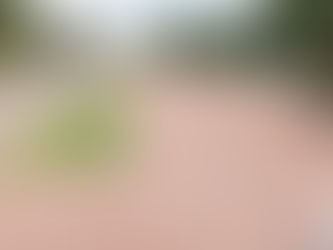 Gombe-Bopeto : Fabrice Ngoyi conscientise et lutte contre l’insalubrité dans sa municipalité