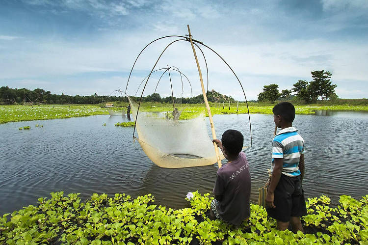 13. Assam.jpg