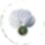 Thumbnail: Reusable Facial Rounds Pads (5pcs)