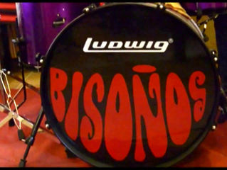 Documental. "Los Bisoños"