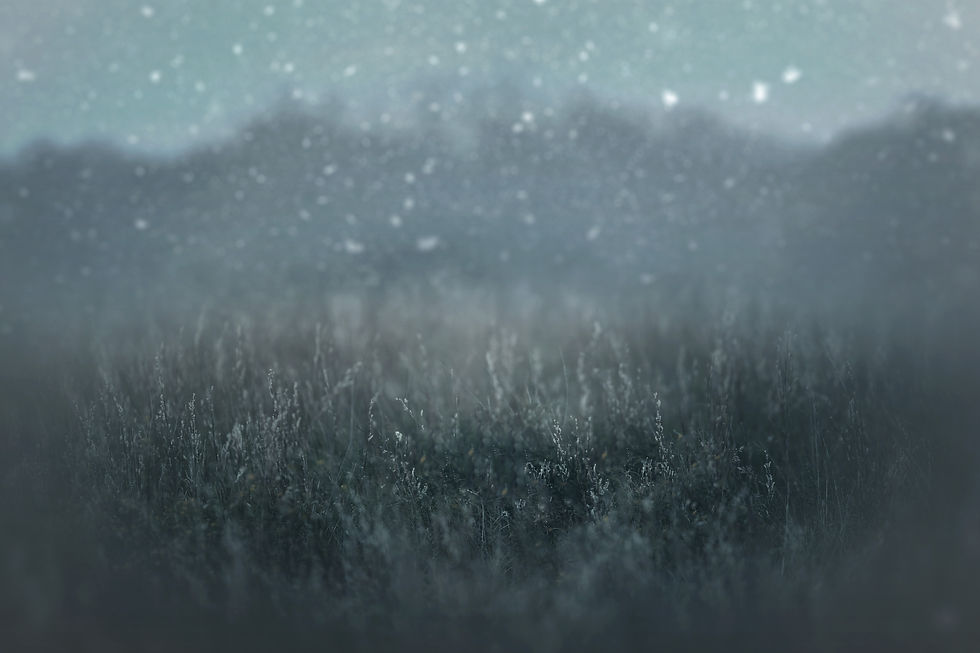 Thumbnail: Winter Digital Backdrops