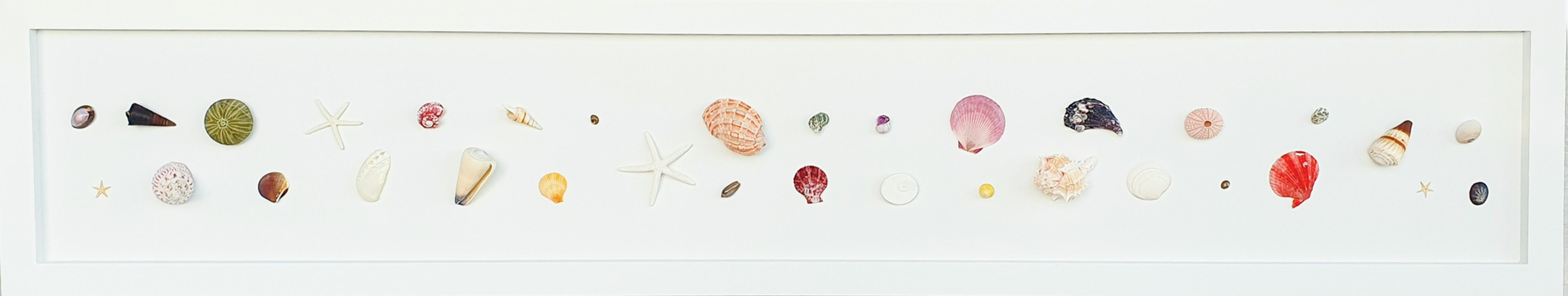 Beach inspired shell art Tropical Tides XIV by New Zealand artist Steven Leydon