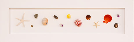 Seashell artwork Tropical Tides II by New Zealand artist Steven Leydon