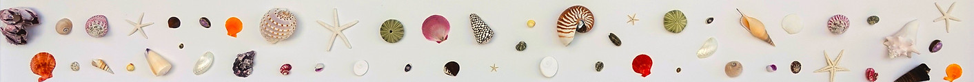 Letterhead Banner.JPG