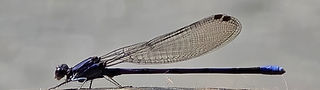 20260731_131917-d579.jpg