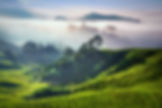 Healing Hideaway, Nilgiris, India