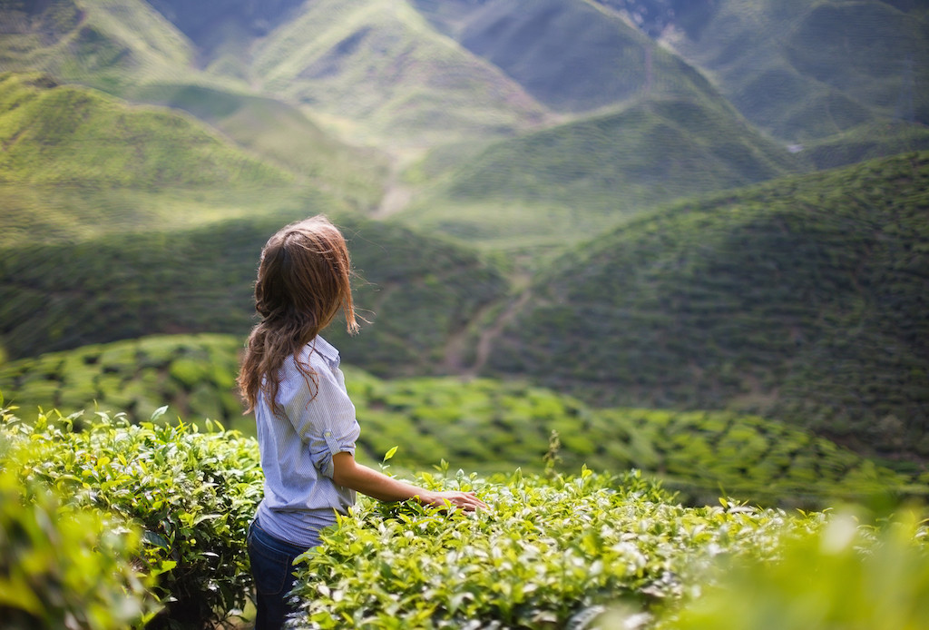 Top 10 Mental Health, Meditation & Digital Detox Retreats, India