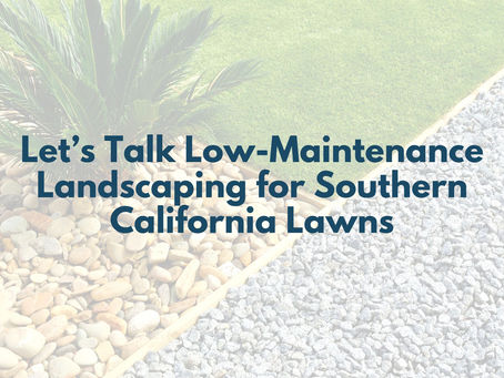 Let’s Talk Low-Maintenance Landscaping for Southern California Lawns
