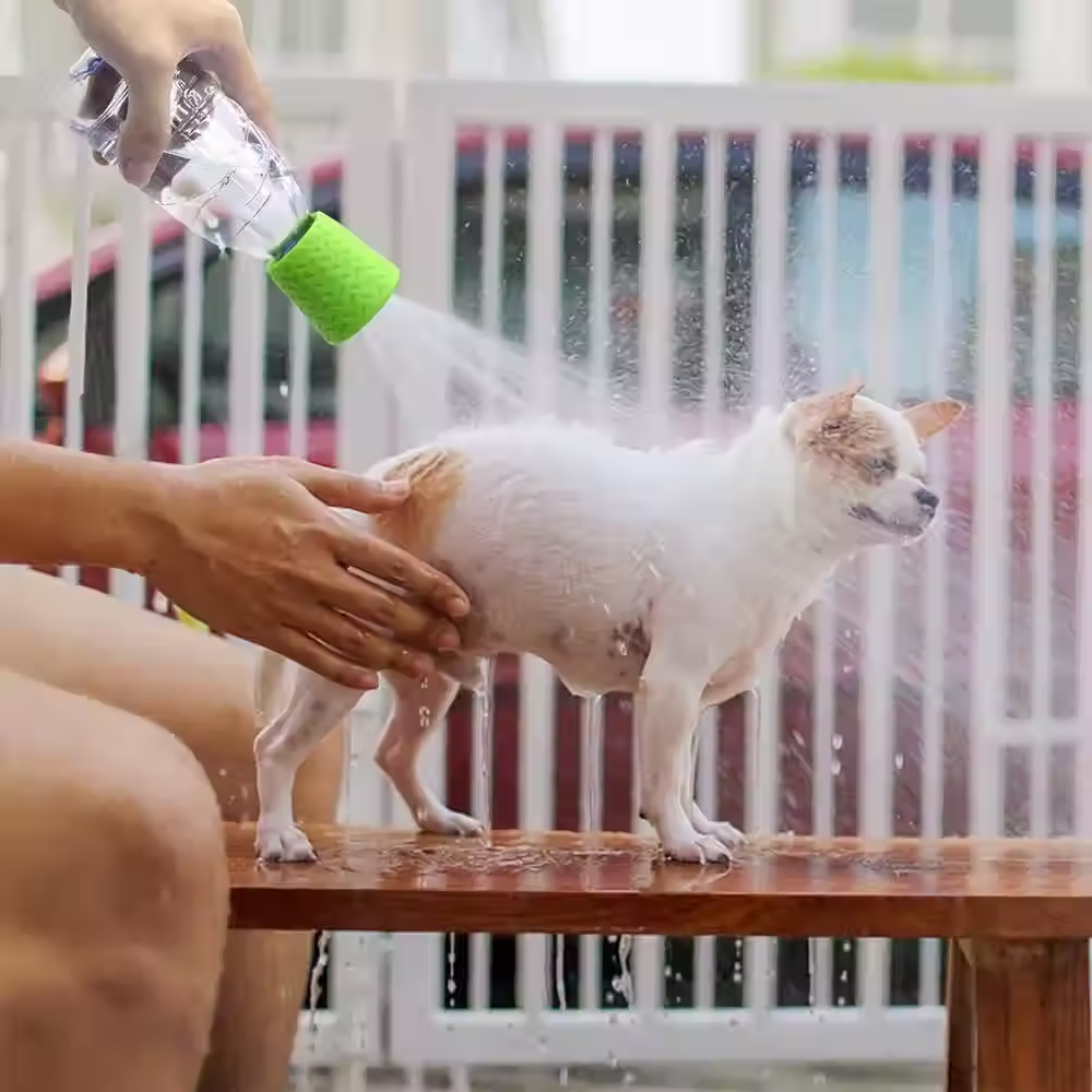 FreshPaw