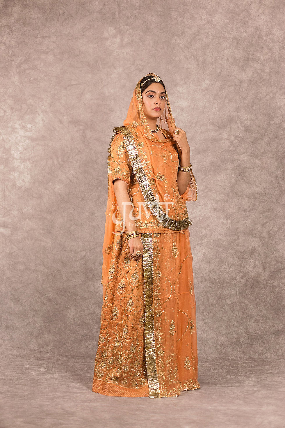 Thumbnail: Zardozi work Rajputi Poshak