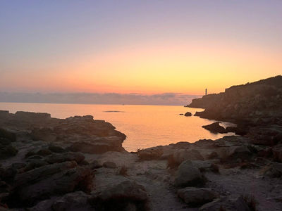 Forest bathing at sunrise Ibiza
