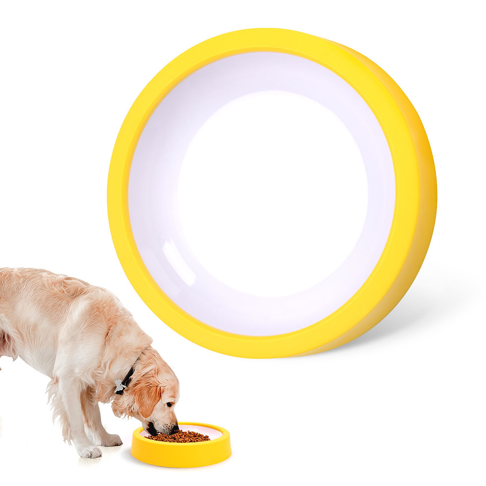 Thumbnail: Pet Dog Slow Feeder Bowl Fun Non Slip Anti-Gulping Slower Food Feeding Dishes Ec