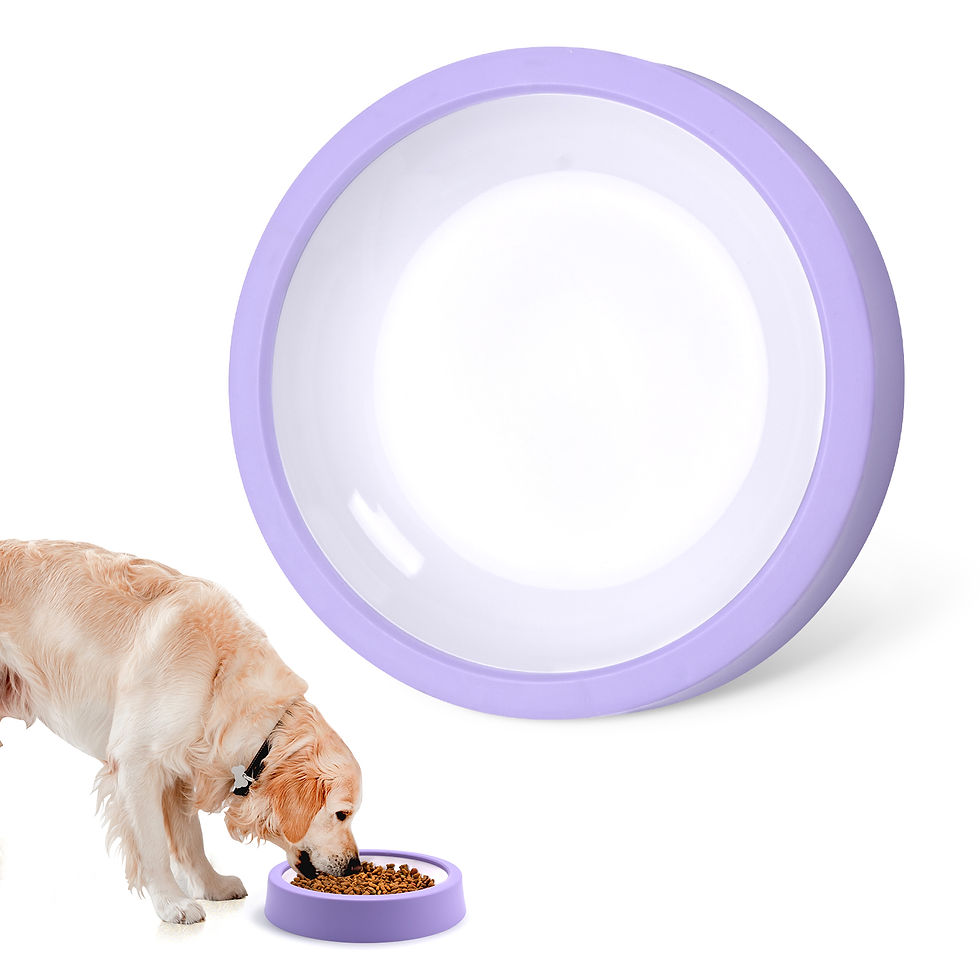 Thumbnail: Pet Dog Slow Feeder Bowl Fun Non Slip Anti-Gulping Slower Food Feeding Dishes Ec