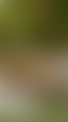 Miami Table Rental Guide: Table Rentals Tailored for Miami Events