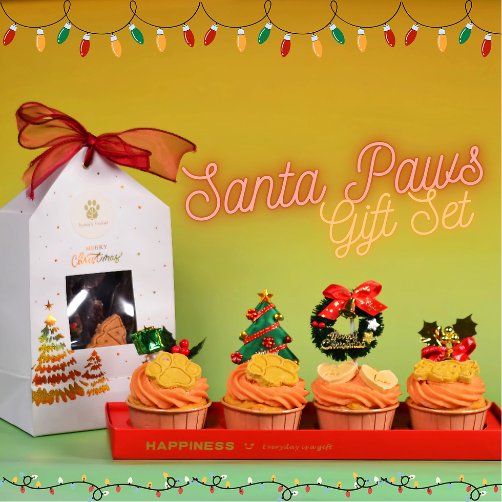 Front view of Christmas dog treats, includes dehydrated dog treats and four dog cake, from Kookies Cookies Calgary.