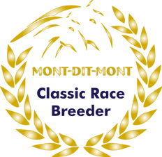 Logo MDM Classic Race Breeder.png