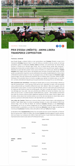 Victoire de Anima Libera (N19 Cleverleyca)