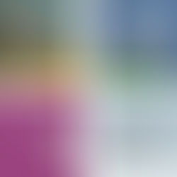 Llibre de la setmana: Col·lecció Makakiños