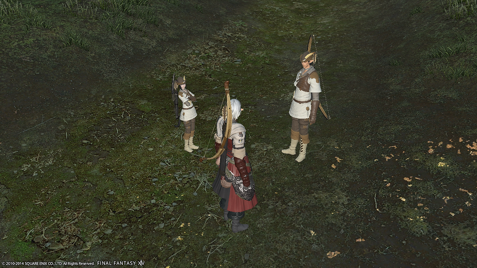 ffxiv_06122014_233727.png