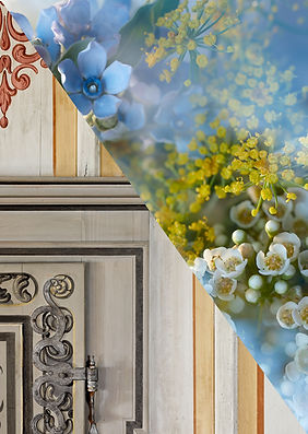 SCENTFESTIVAL_campaign_creative_direction_s_fischenich_photo_l_cucini