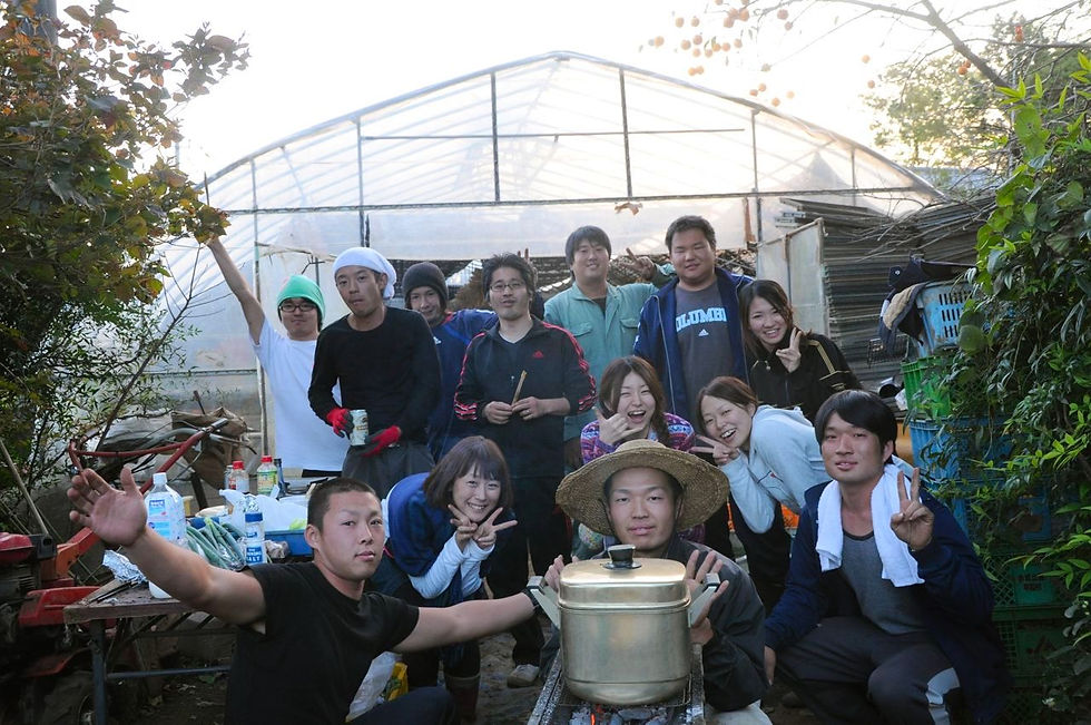 2015の模様