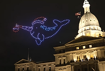 Narwhale.png