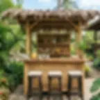 Lanai Bar Ideas