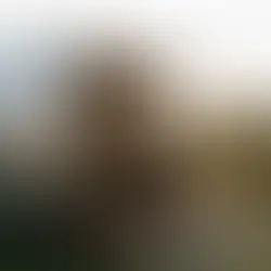 Mobile Bar Set Up Ideas