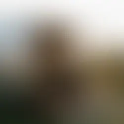 Mobile Bar Set Up Ideas