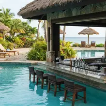 Swim Up Pool Bar Ideas
